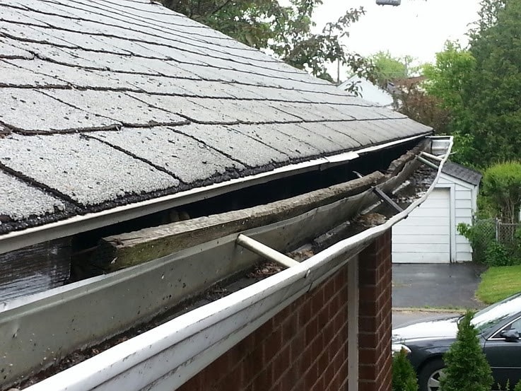 Damaged gutter pulling away from the roofline.