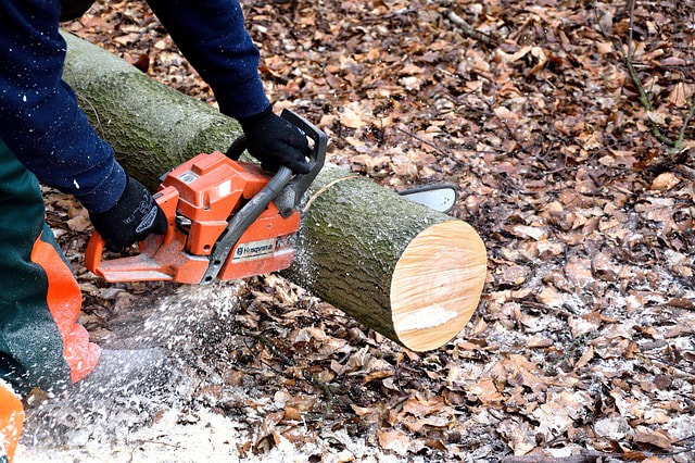 Worker cutting a tree log with a chainsaw.